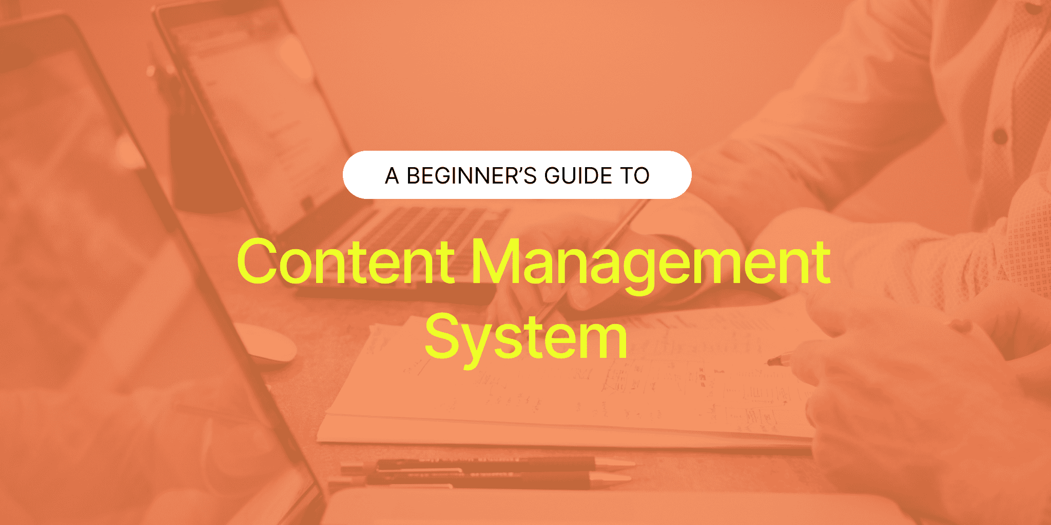 content management system (CMS)