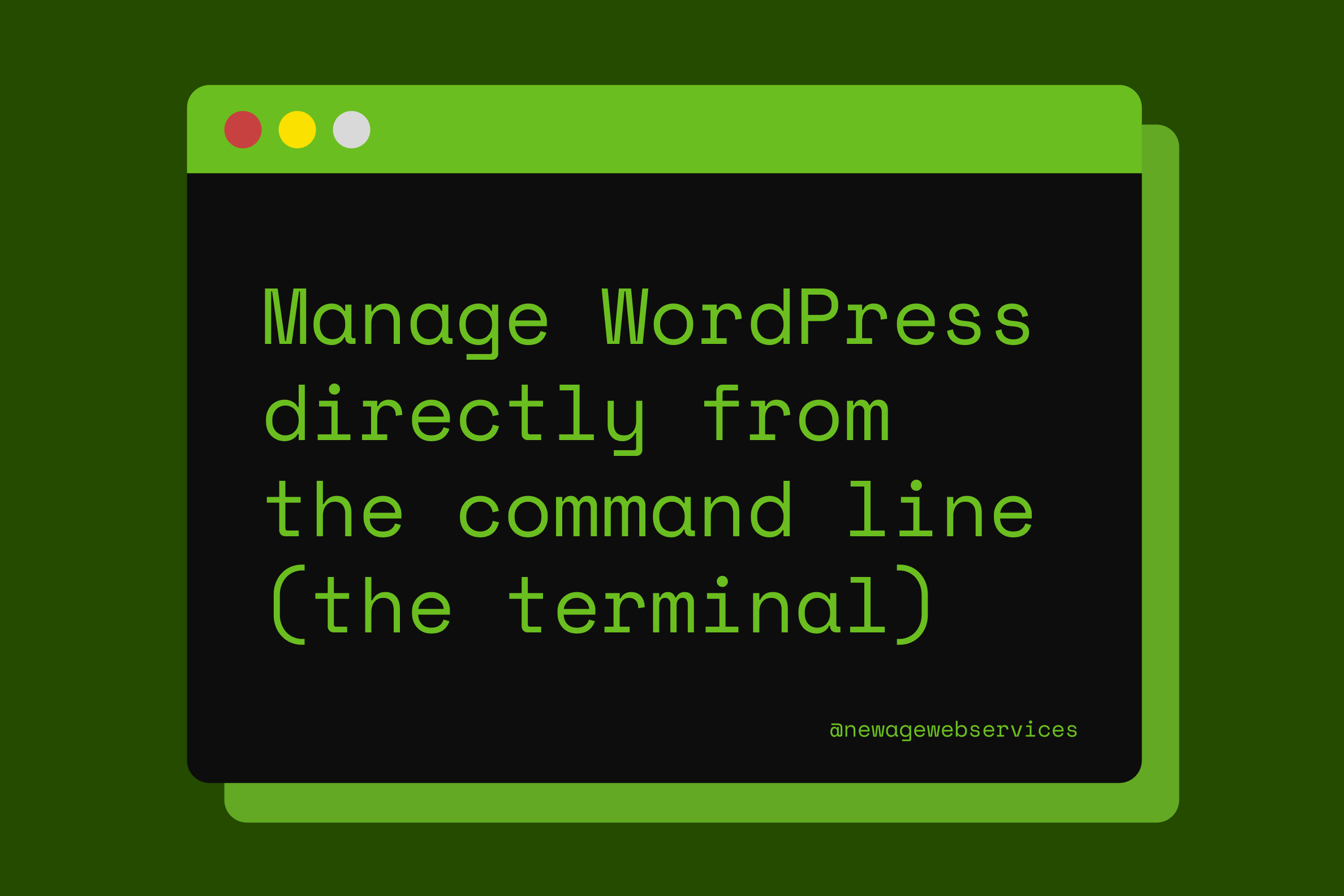 How to Install and Manage WordPress from the Terminal Using WP-CLI?